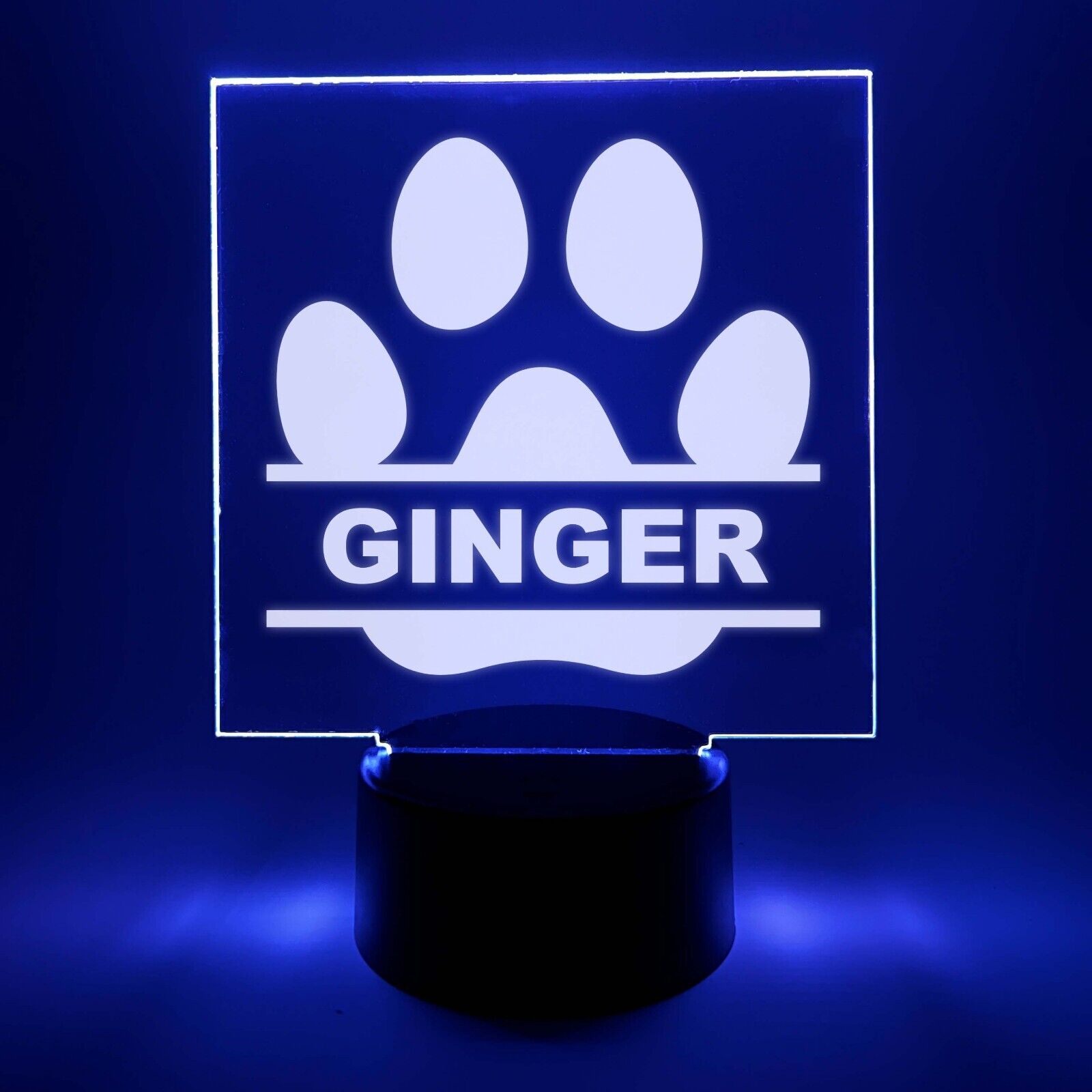 Personalized LED 16 Colors Light Up Stand Pet Puppy Dogs Paw Gift w/Remote