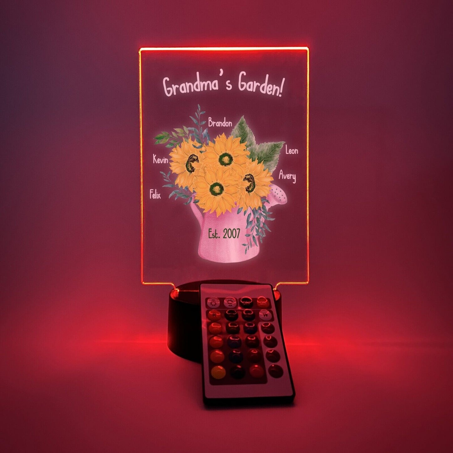 Personalized LED  16 Colors Light Up Flower Jar Grandma Garden Desk Stand