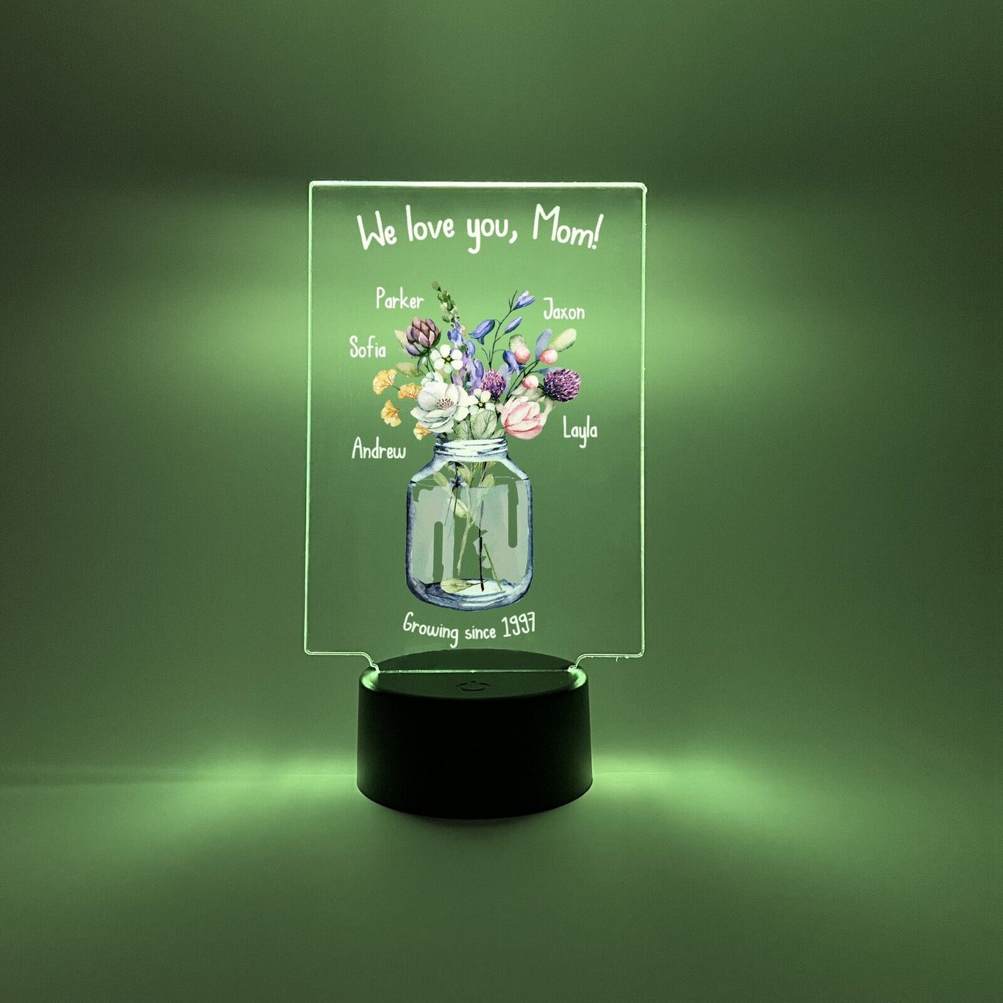 Personalized LED  16 Colors Light Up Flower Jar Mom Mother Day Desk Stand