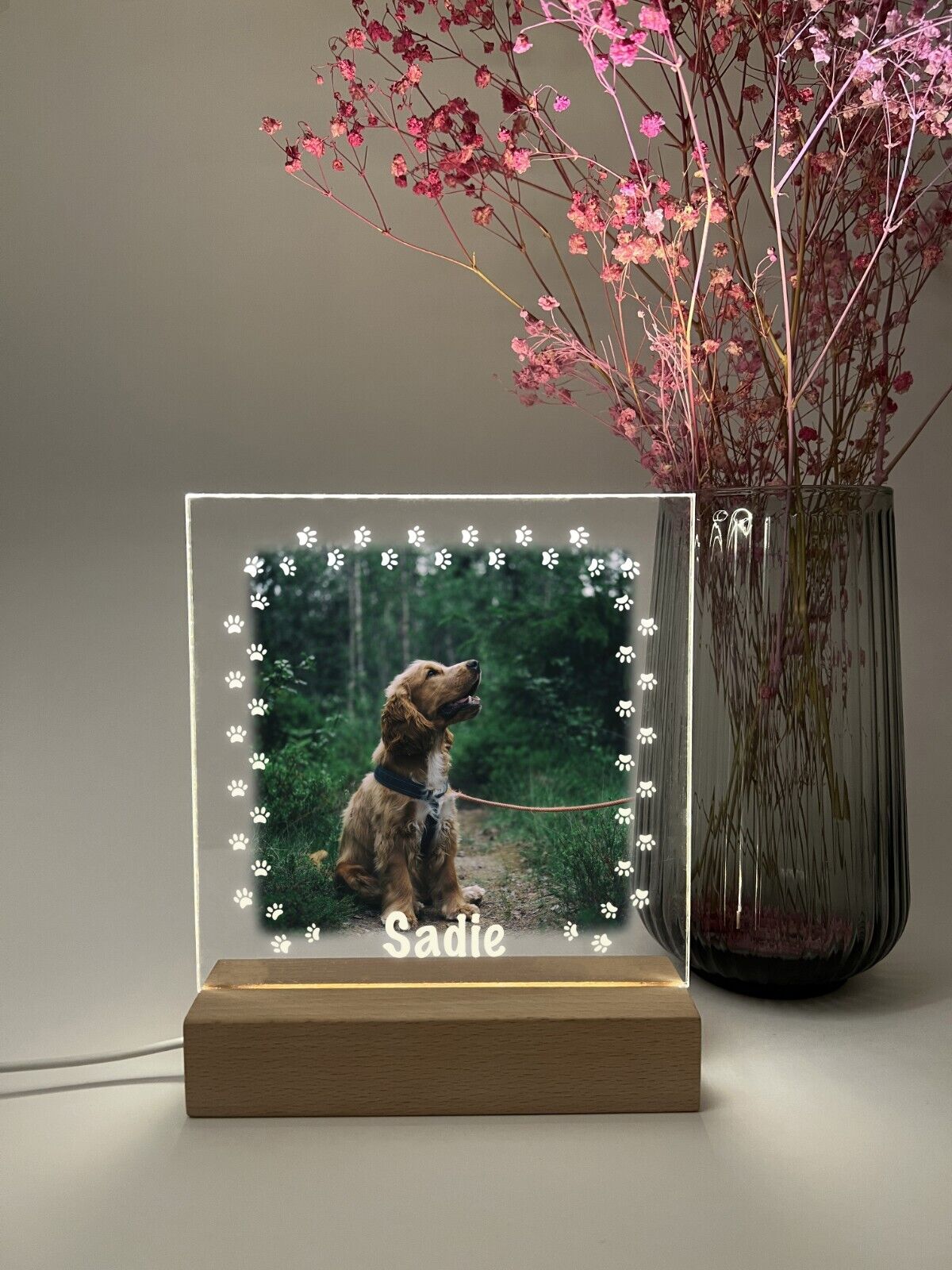Personalized LED Light Up Wood Stand Pet Dogs Puppy Paw Prints Gift