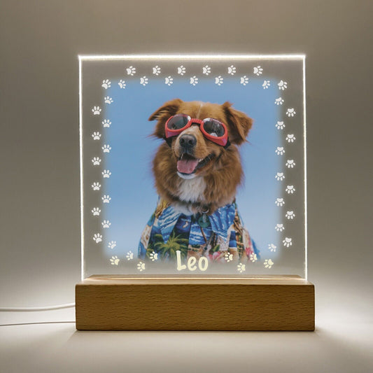 Personalized LED Light Up Wood Stand Pet Dogs Puppy Paw Prints Gift