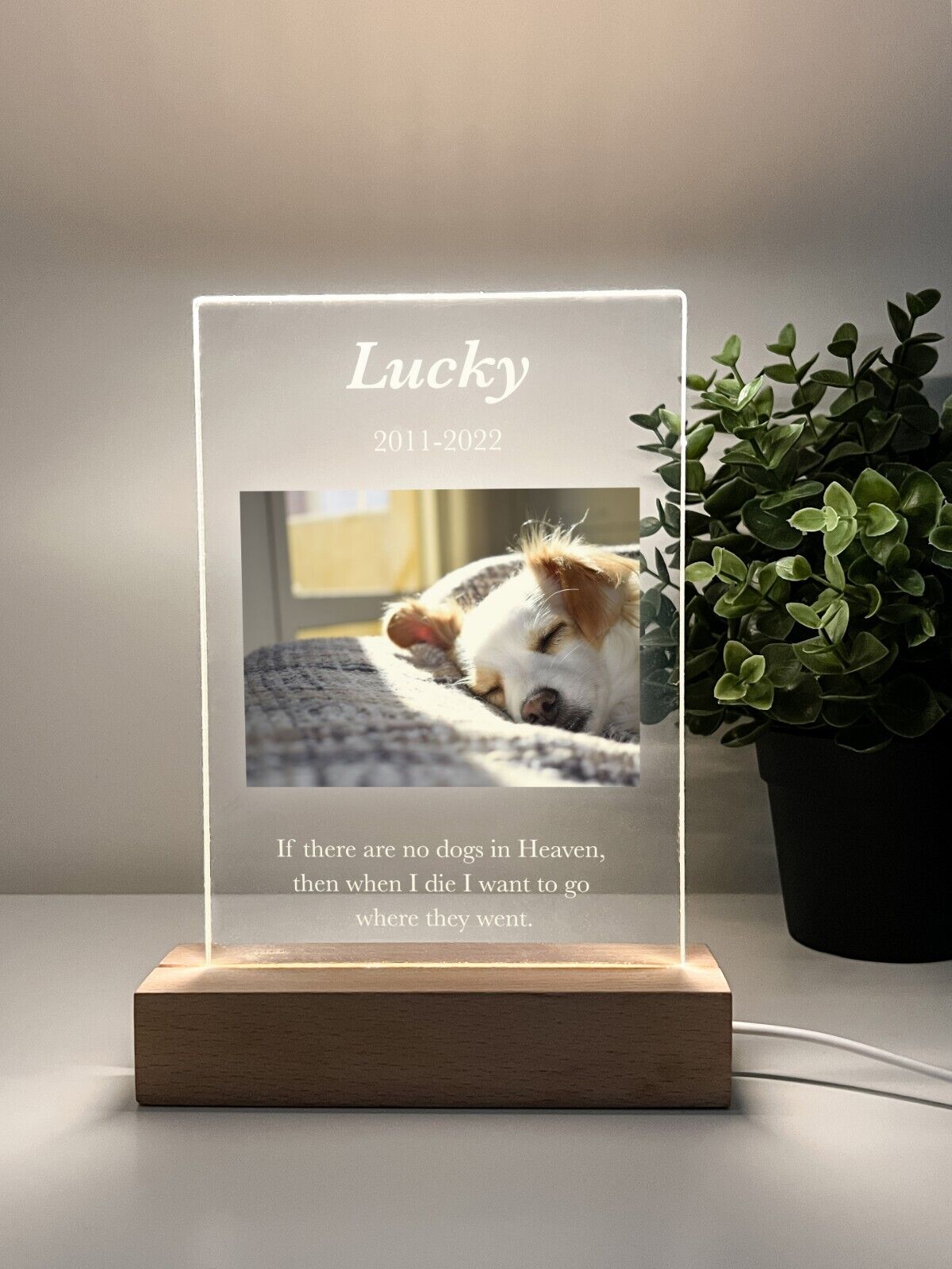 Personalized LED Light Up Wood Stand Pet Dog Cat Remembrance Memorial Gift