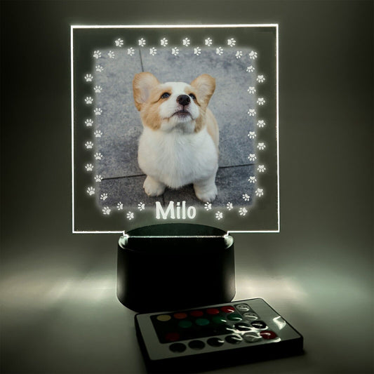 Personalized LED 16 Colors Light Up Stand Puppy Dog Pawprints Pet Gift w/Remote