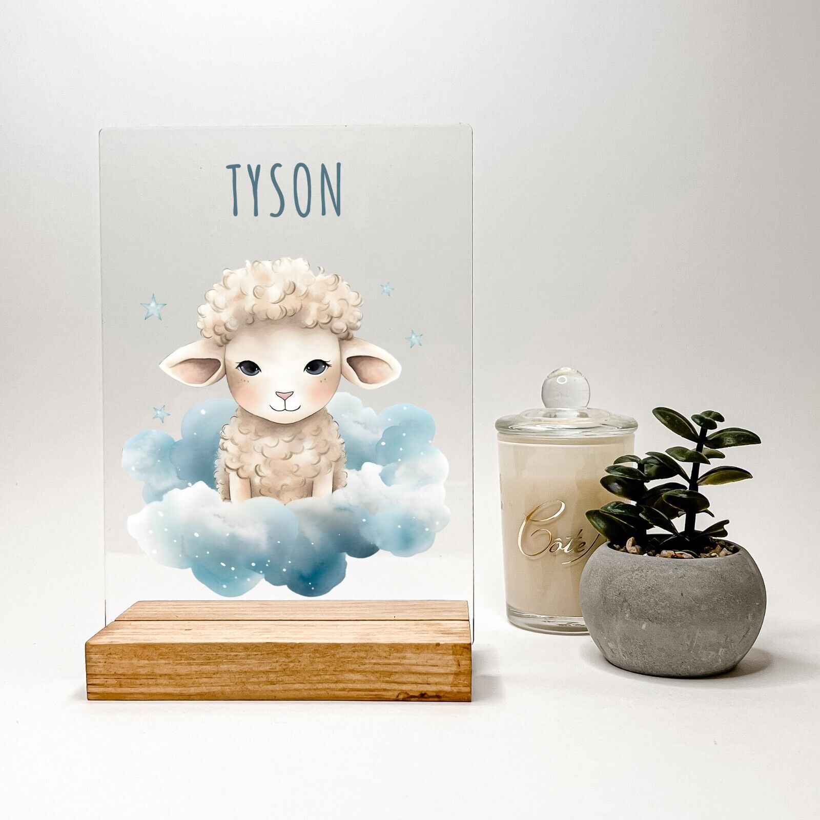 Personalized Acrylic Wood Stand Baby Newborn Animal Nursery Gift
