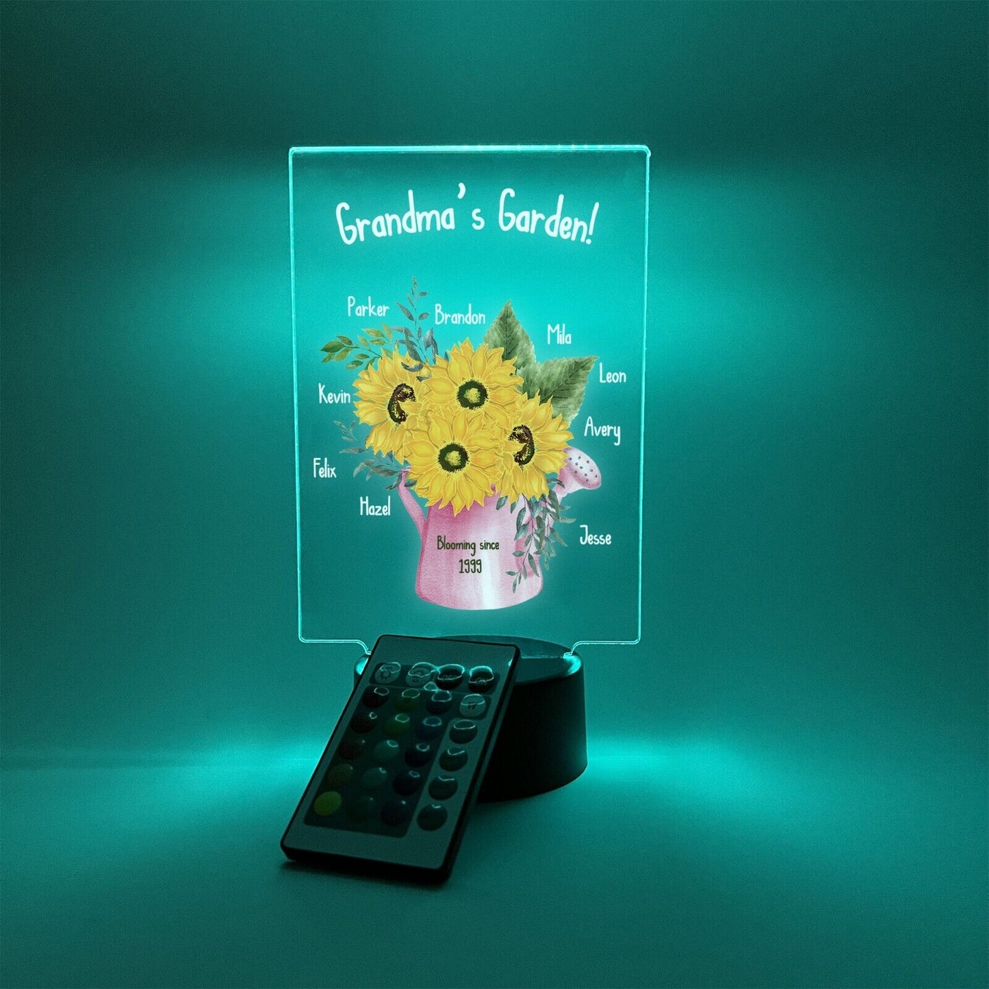 Personalized LED  16 Colors Light Up Flower Jar Grandma Garden Desk Stand