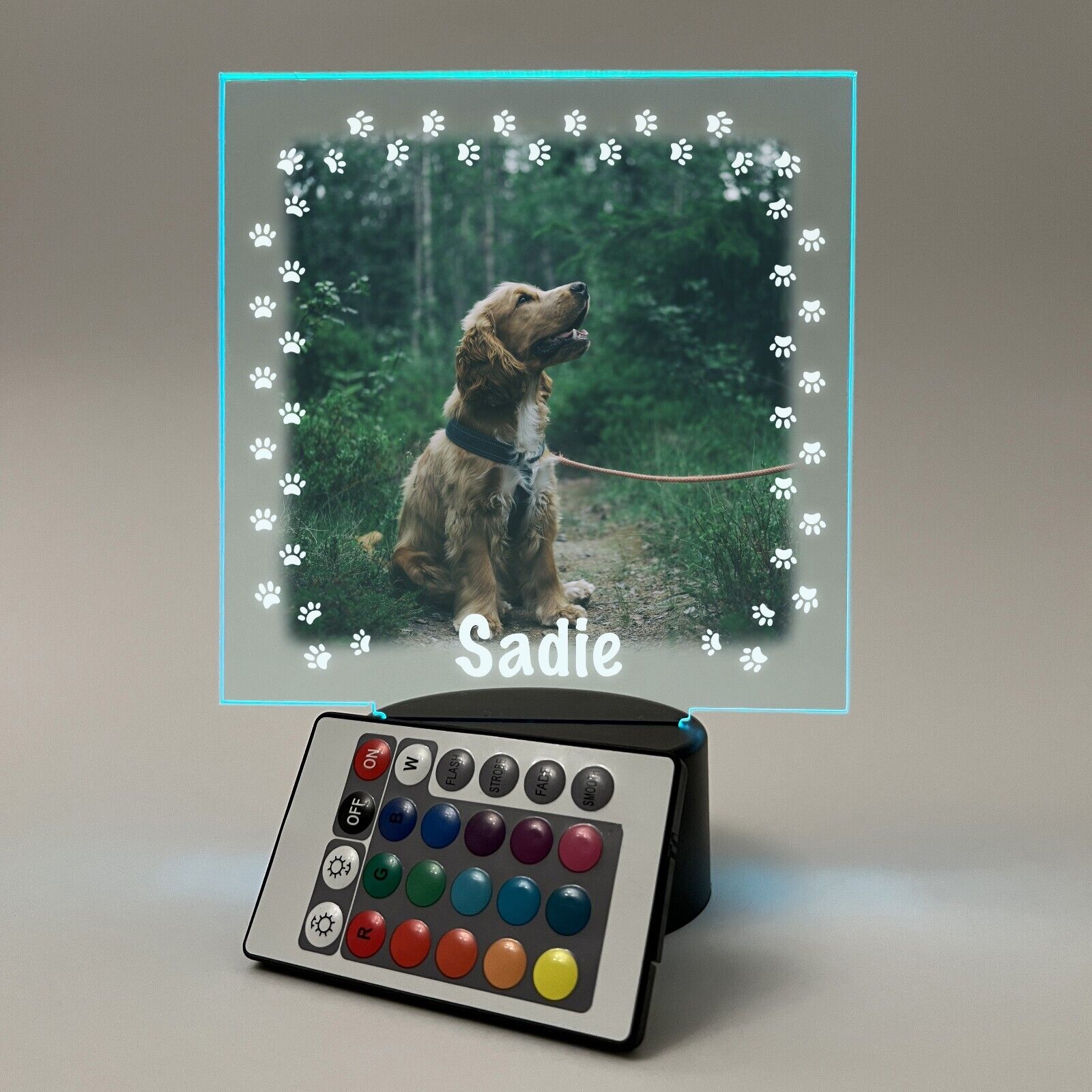 Personalized LED 16 Colors Light Up Stand Puppy Dog Pawprints Pet Gift w/Remote