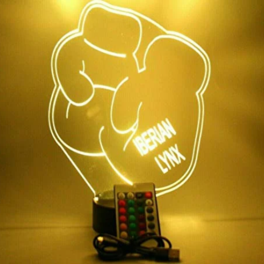 Boxing Gloves, Sports LED Tabletop Night Light Up Lamp, 16 Color options with Remote